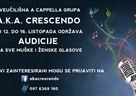 Poziv na audiciju
